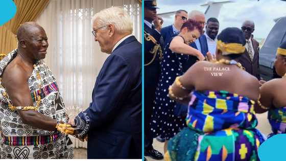 German President receives royal welcome in Kumasi as he visits Otumfuo at Manhyia Palace, video