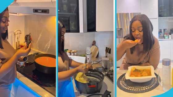 Jackie Appiah uses GH¢30 dried fish and chicken to prepare light soup and fufu in a viral video