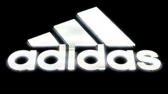 Designer says regrets Adidas 'appropriated' Mexican footwear