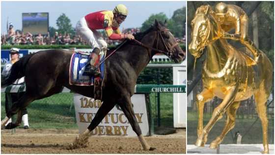 Fusaichi Pegasus: Most expensive horse who has its own golden statue sadly dies at 26