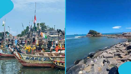 Police arrest 12 suspected occult members in Takoradi for reportedly dumping human body into the sea