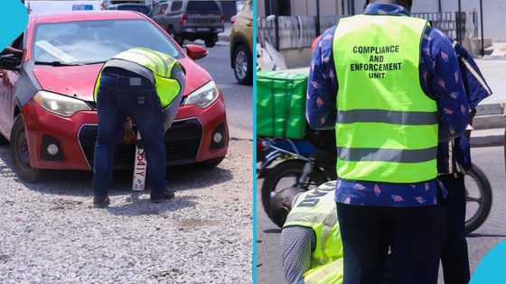 DVLA seizes over 130 suspected cloned cars using new tech, CEO explains how