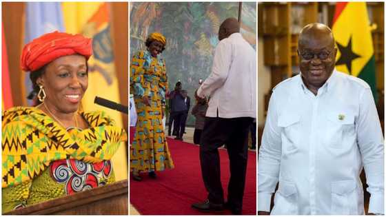 Akufo-Addo and Nana Konadu Agyemang Rawlings leave Ghanaians amazed with their dance moves