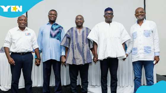 Over 200,000 NPP delegates vote in high-stakes presidential primary today