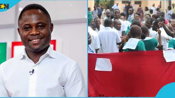 Mintah Akandoh shares update on govt's plans to send unemployed nurses abroad, lists 4 interested countries