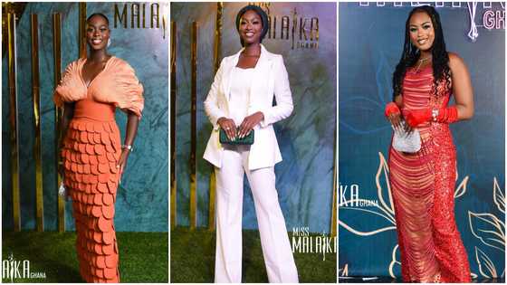 9 past fashionable delegates who slayed beautifully on Miss Malaika 2022 red carpet