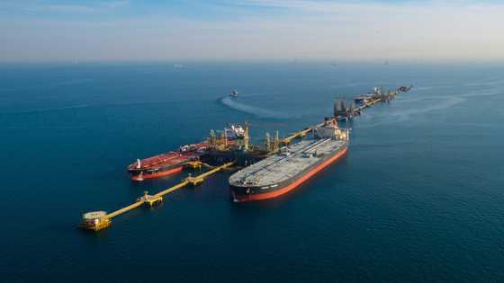 At Davos, Saudi Arabia says curbing oil dependency a priority
