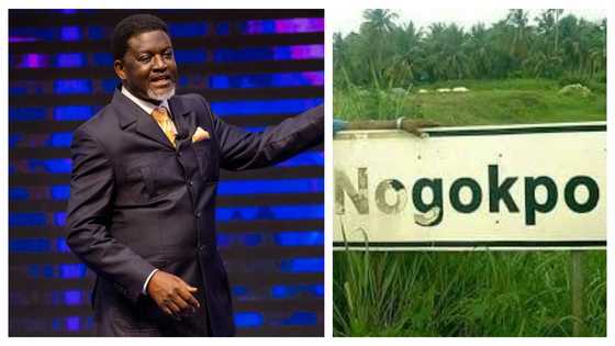 "We shall face you squarely": Nogokpo declares after losing business deal after Agyin-Asare called them demonic