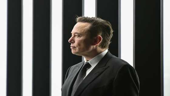 Elon Musk: tech genius, social media boss, eccentric