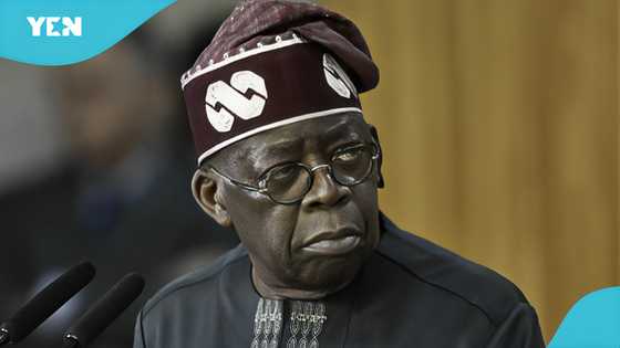 Chika Ibe: Tinubu's hard-line response to South Africa ignites global attention amid outrage