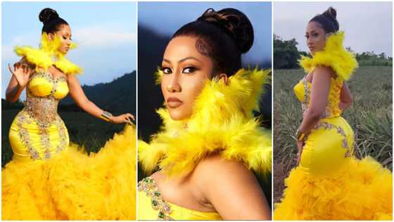 Hajia4reall glows with beauty and class in stylish gown to mark 30th b'day; celebs, fans react