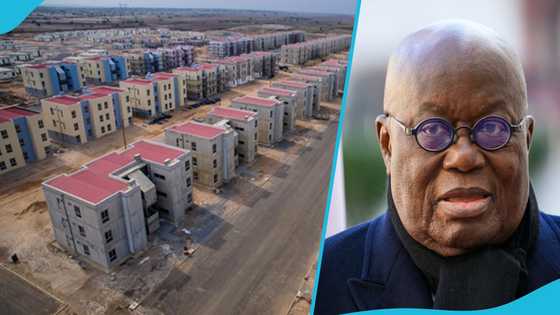 “Pure thievery”: Tenants union blasts state over plan to sell off Saglemi Housing project to private investors