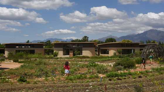 Eco warriors: S.Africa school puts green issues at heart of teaching