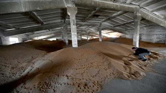 Ukrainian farmers worried as allies choke off export route