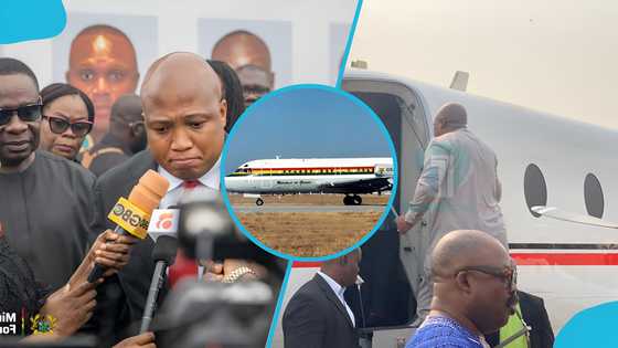 Calls for Ablakwa’s resignation over Mahama’s private jet: Activist speaks