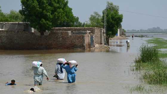 COP27: Financing for climate damages gets a foot in the door