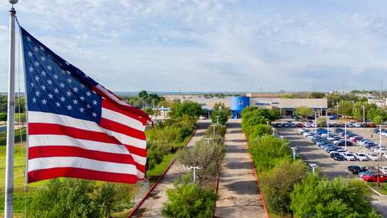 US auto industry stunned by tariffs meant to save it