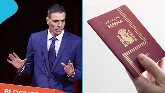 Spain lists foreigners who can qualify for citizenship after 5 years