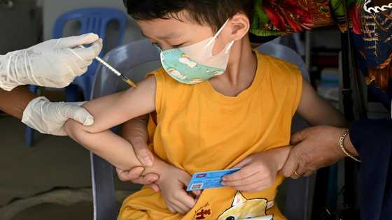 Covid vaccines saved 20 million lives in first year: study