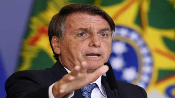 Pro-democracy petition garners 500,000 signatures in Brazil