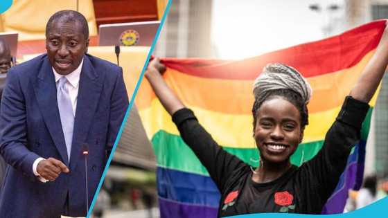 Anti-LGBTQ+ Bill: Minority Leader Afenyo-Markin kicks against criminalisation of gay rights