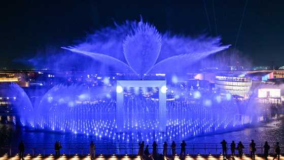 Japan's World Expo touts unity, and algae, in turbulent times
