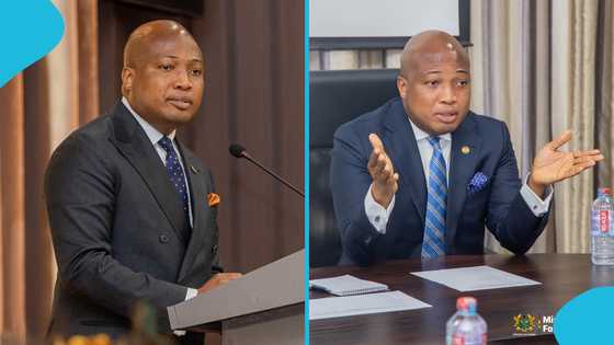 "Ghana holds no grudge": Ablakwa assures countries that opposed reparations