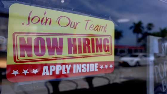 Job growth up in US private sector on services boost