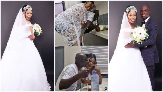 Heavy Doo: Dr UN carries Joyce Dzidzor Mensah on his back while cutting cabbage, video sparks reactions from Netizens