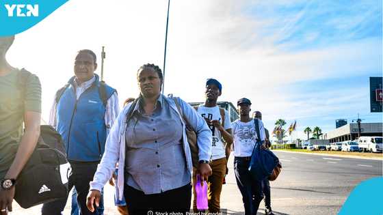Mass deportation: 42 South Africans removed from Ireland on charter flight