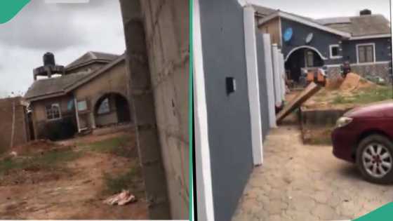 Reactions as 2nd wife’s son renovates his mum’s side of their house: "Polygamy is a serious issue"