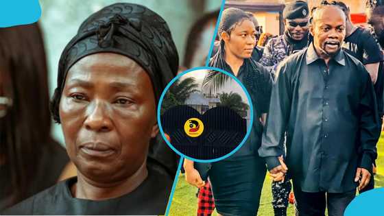 Akosua Serwaa details alleged properties Daddy Lumba owned in Germany and Ghana, video