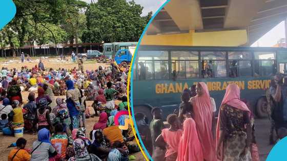 Immigration Service shares details of swoop on street kids, over 2,000 persons detained