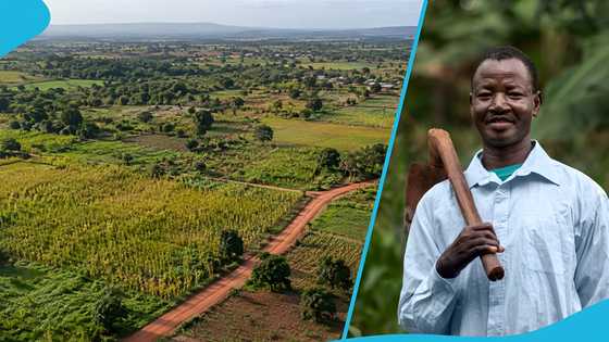 7 rural communities in Ghana where an acre of farmland may cost GH¢8,000 or less