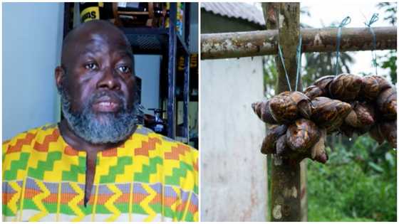 American businessman urges Ghanaians to invest in agriculture: “There are many opportunities here"