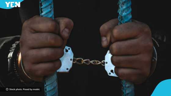 Fake Immigration officers confess after arrest: “Hon Mustapha gave us the uniform”