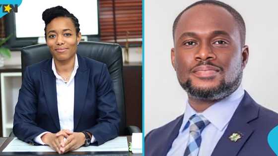 Mahama reshuffles ministers, names Zanetor Environment Minister, Adjei to Defence