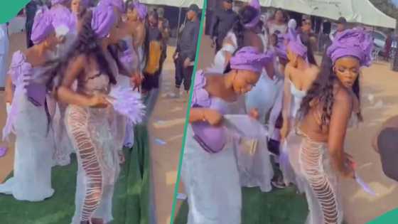 Bridesmaid causes uproar with revealing outfit, netizens bash her: "Gele on top of beach wear"