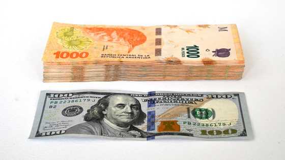 Milei's Argentina dollarization plan has Latin American precursors