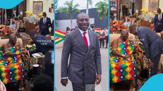 Akufo Addo Introduces Afenyo Markin To Otumfuo Osei Tutu II As Mighty Minority Leader