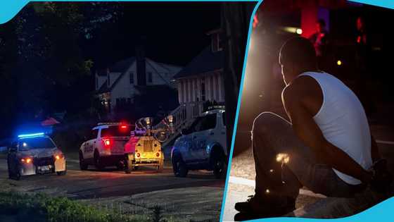 Ghanaian shot by police in US after attacking family members