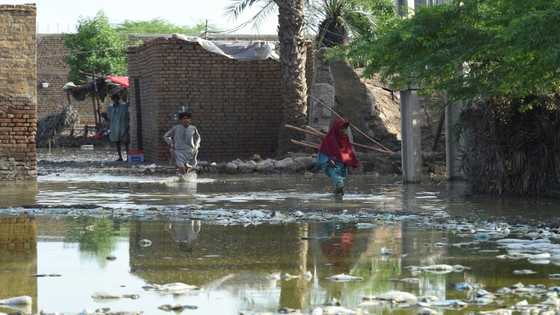 Huge relief operation under way as Pakistan flood death toll rises