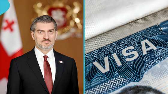 Georgia publishes full list of African countries eligible for visa-free entry, sets stay limit