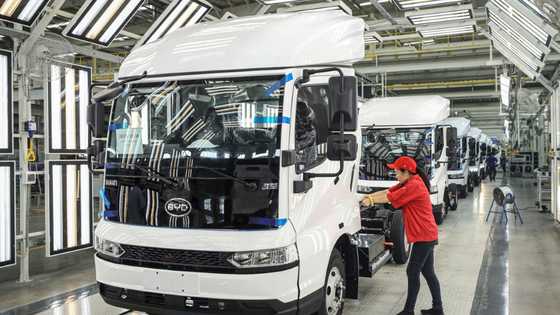 Chinese EV giant BYD posts 24.4% rise in profit