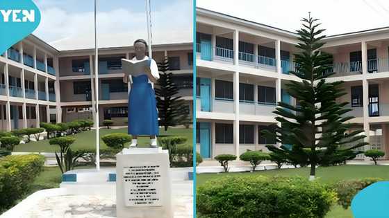 St Monica’s SHS turns away students reporting to school in taxis, welcomes students in private cars