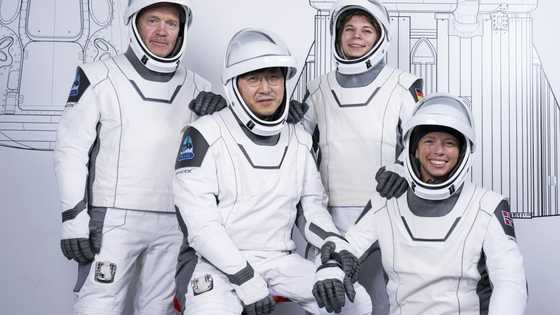 SpaceX to launch private astronauts on first crewed polar orbit