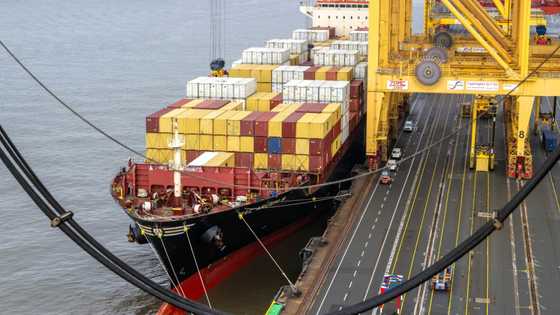 China passes US to return as Germany's top trade partner