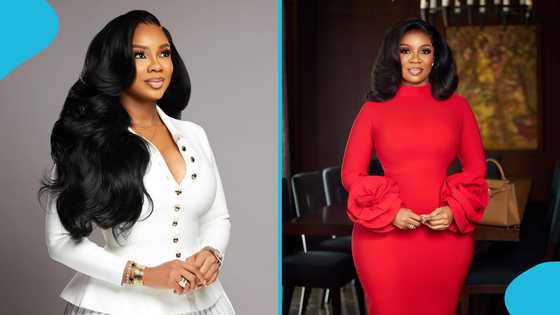 Serwaa Amihere reportedly graduates from Ghana School of Law, set to be called to the BAR