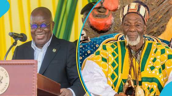 Ya-Na urges Akufo-Addo not to rename Tamale International Airport after Yakubu Tali: “Unacceptable idea"