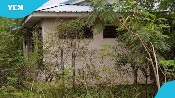 ICT lab built with US$100,0000 left to rot in Central Tongu